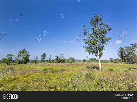 Moor Landscape High Image & Photo (Free Trial) | Bigstock