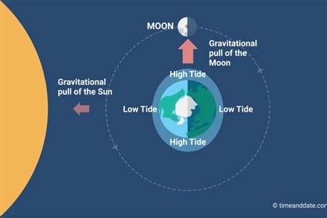 The Moon Causes Tides on Earth