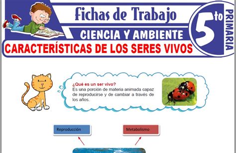 Seres Vivos Y Seres Inertes Online Exercise For Quinto De Primaria – NBKomputer