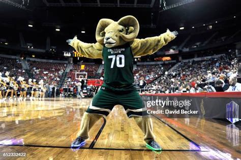 Colorado State Rams Mascot Photos and Premium High Res Pictures - Getty Images