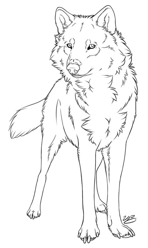 Gray wolf Line art Drawing Painting Sketch - Wolf Tattoo png download - 600*1000 - Free ...