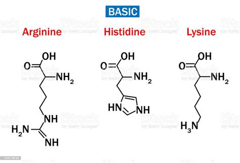 Structure Of Arginine Histidine And Lysine Stock Illustration - Download Image Now - Acid ...