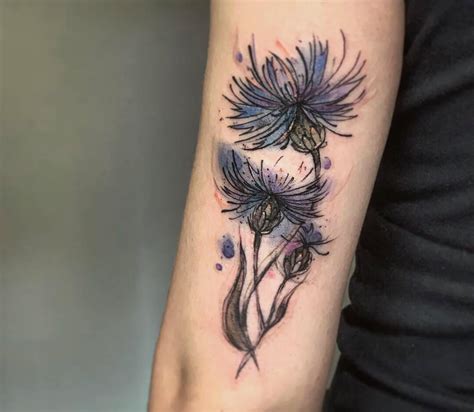 Thistle tattoo by Daria Mlecna | Photo 30160