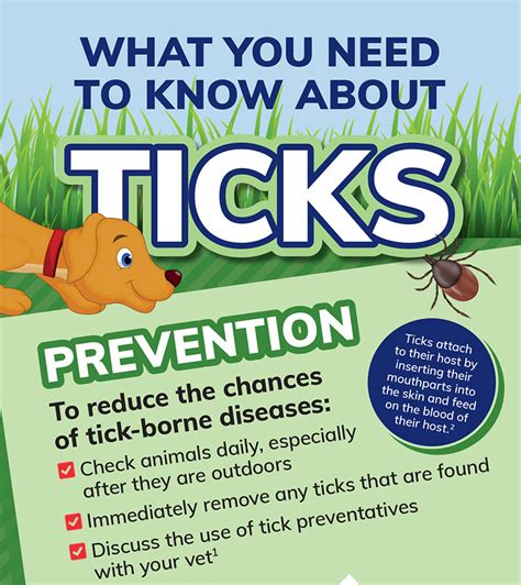 tick-prevention | Atlantic Vet Seattle