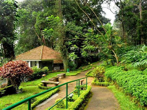 The Tall Trees Munnar - Lodging