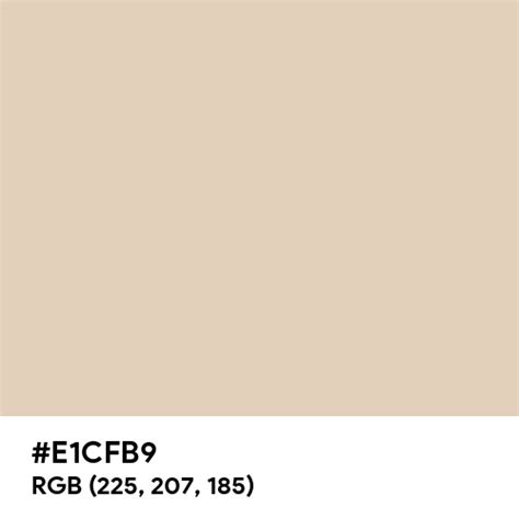 Matte Beige color hex code is #E1CFB9