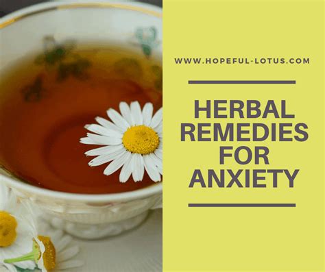 8 Herbal Remedies for Anxiety Relief | Hopeful Lotus