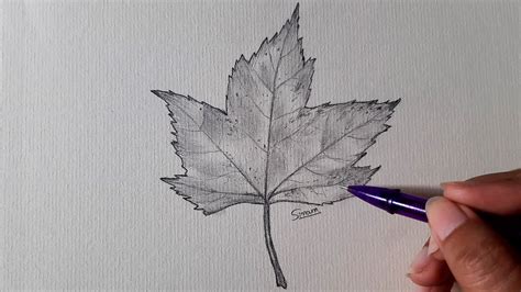 Share 82+ autumn sketch best - seven.edu.vn