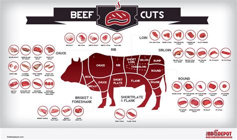 Diagram Of Cow Meat Cuts Of Beef