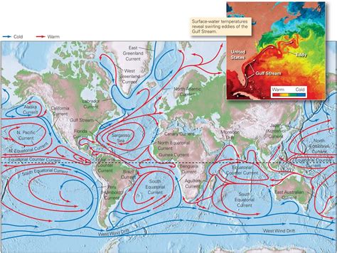 Atlantic Ocean Currents - Inge Regine