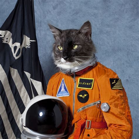 Cat Astronaut Wallpaper - WallpaperSafari