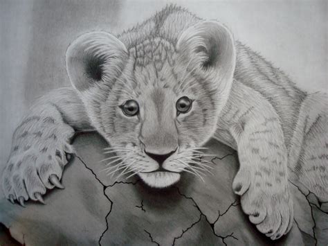 Lion Cub by MoskiStudios on DeviantArt