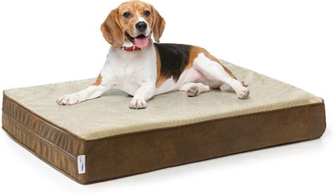 Memory Foam Dog Beds | The 10 Comfiest Memory Foam Dog Beds