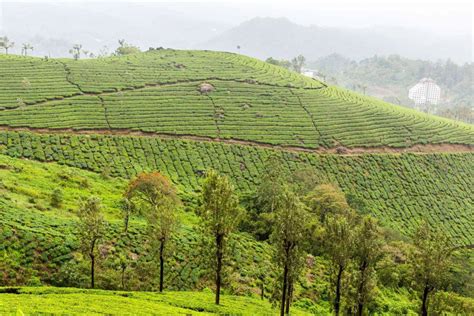 Pallivasal Munnar Tickets, timings, offers Jun 2022 | ExploreBees