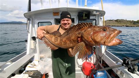 Puget Sound Ling Cod Fishing Spots - FISHING OPK