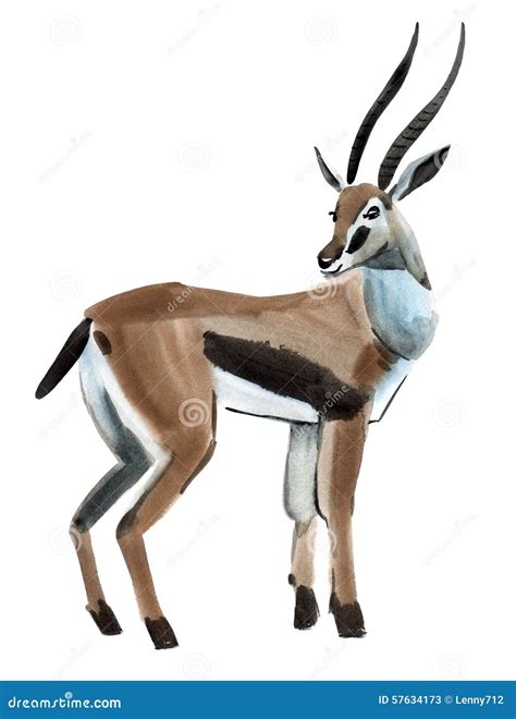 Watercolor Illustration Of Antelope In White Background. Stock Illustration - Image: 57634173