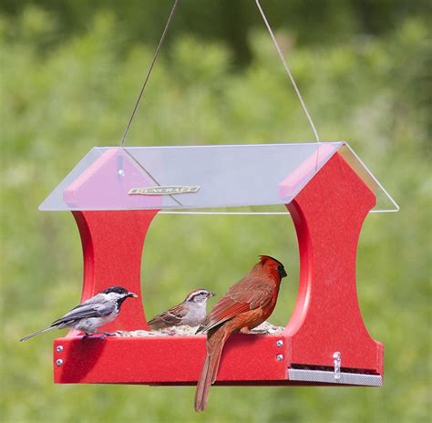 Buy the Classic Cardinal Platform Feeder at duncraft.com. 100% ...