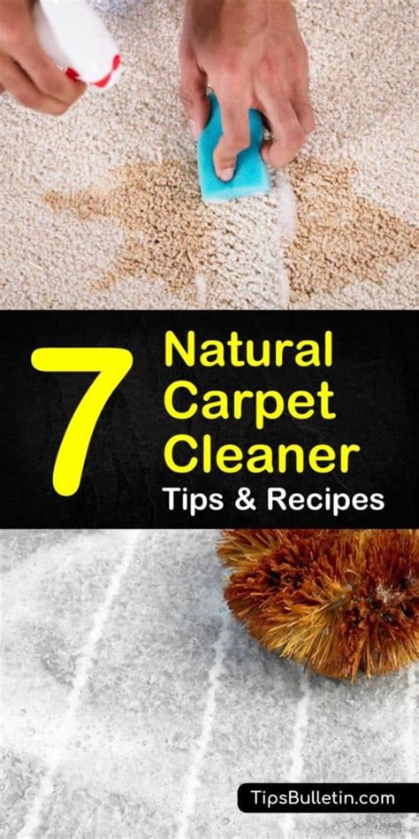 7 Simple Organic Carpet Cleaner Recipes