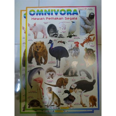 Jual Gambar hewan omnivora | Shopee Indonesia