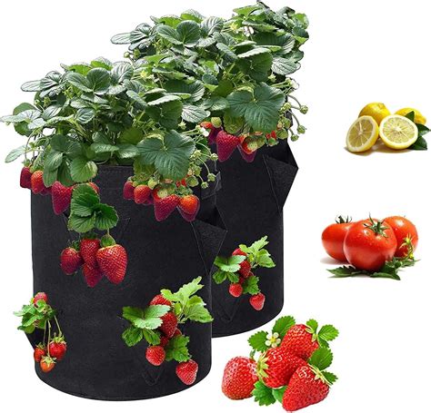 Strawberry Planting Bag With Handles And pocket Vertical Pocket For Growing Strawberries Onion ...