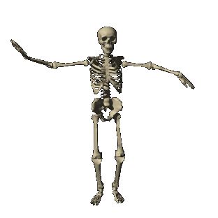 Skeleton Gif Tumblr