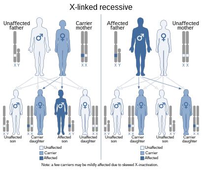 Haemophilia - Wikipedia