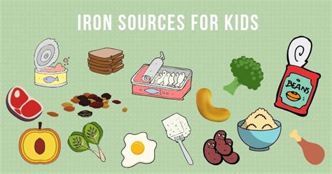 Iron Rich Foods For Kids - Healthy Little Foodies