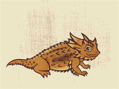 Horned Toad Lizard Drawing 10+ Images Result | Koltelo