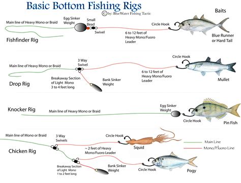 fishing rig diagrams | Bottom fishing rigs, Bottom fishing, Fishing rigs