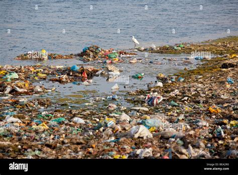 Pollution along the riverbank of the Ganges River in Varanasi India Stock Photo, Royalty Free ...