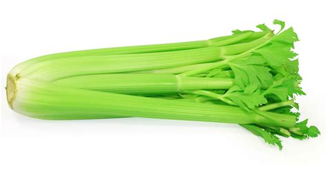 Celery – NutraWiki