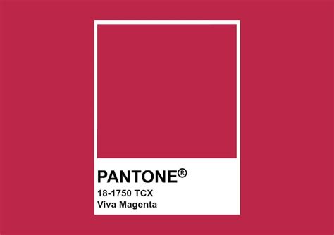 PANTONE 2023 | LONG LIVE MAGENTA | Butinyà Ambients