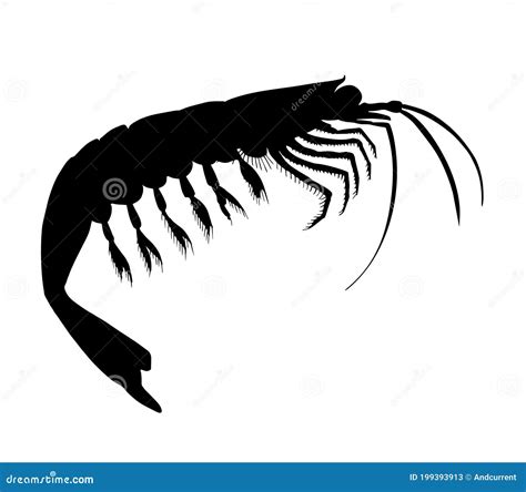 Krill. Hand Drawn Black Vector Silhouette Realistic Illustration. Stock ...