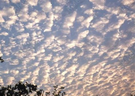 altocumulus clouds | Natureza, Mãe natureza, Fotos