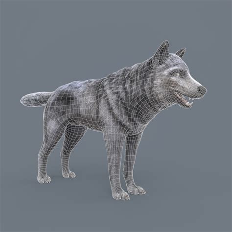 Wolf Low Poly Model - TurboSquid 2037736