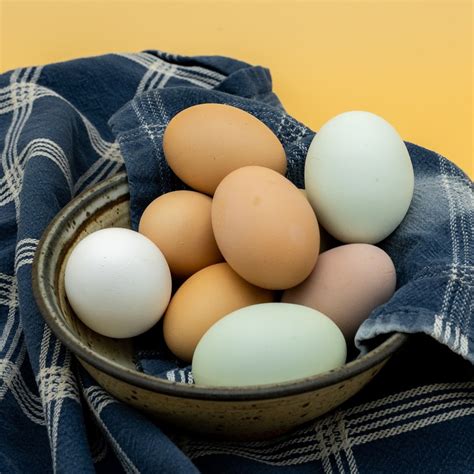 Poultry - Eggs | Blackberry Meadows Farm | Pasture-Raised Pork and Organic Produce