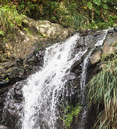 The Complete Guide to Grenada’s Waterfalls - Caribbean Authority