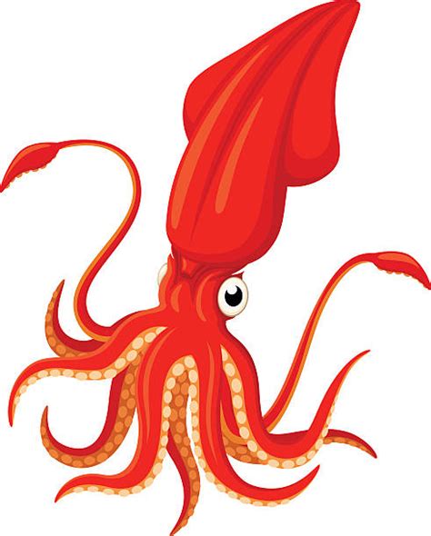 giant squid clipart 10 free Cliparts | Download images on Clipground 2024