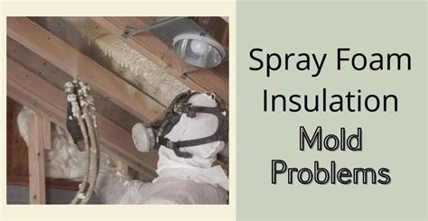 Spray Foam Insulation Mold Problems: Is Spray Foam the Right Material ...