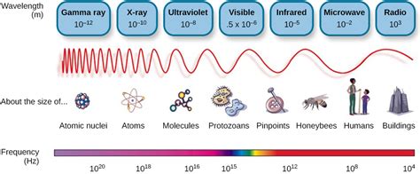 Waves and Wavelengths – Psychology