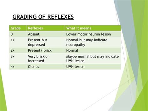 Deep Tendon Reflex Grading Scale