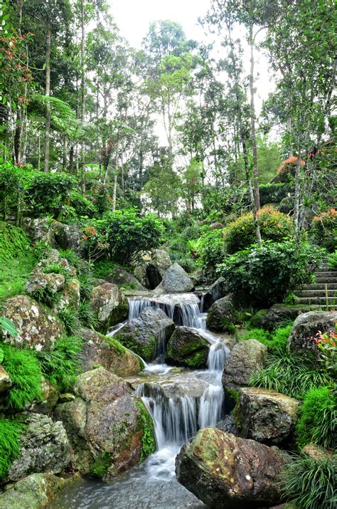 30+ Mini Zen Garden With Waterfall - DECOOMO