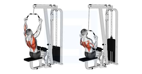 Cable Wide Neutral Grip Pulldown - Guide, Benefits, and Form