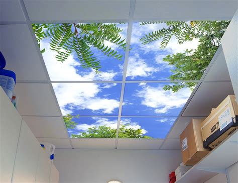 Sky Mural Ceiling Panels » Gadget Flow