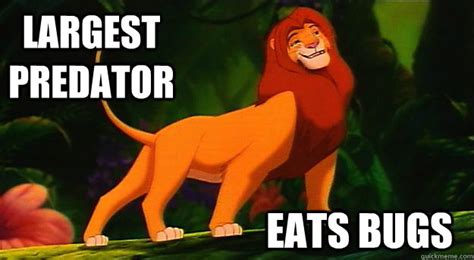 The Lion King: Simba - Disney Memes Photo (36538177) - Fanpop