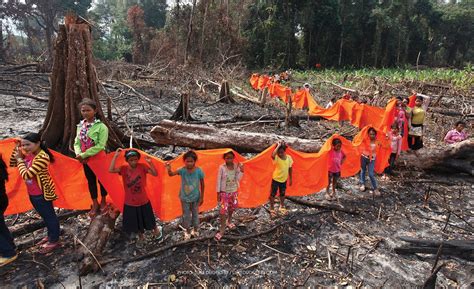 Amazon rainforest conservation: How to help : andeanmusic