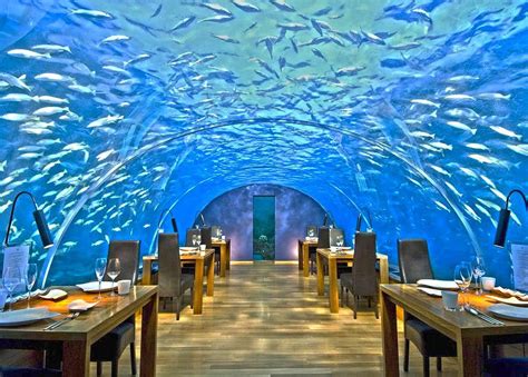 Ithaa - One and Only Underwater Restaurant in Maldives - Places To See In Your Lifetime