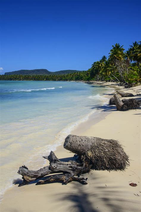 The 12 best beaches in the Dominican Republic - Lonely Planet