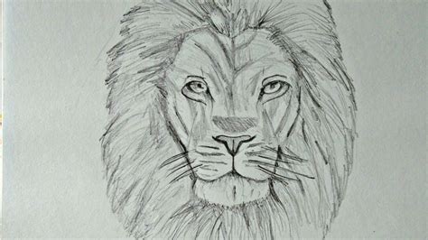 Lion Drawing Face