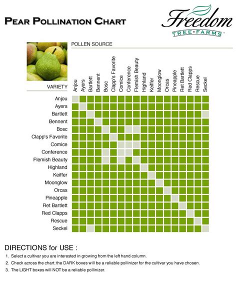 Pineapple Pear Tree Pollination Chart